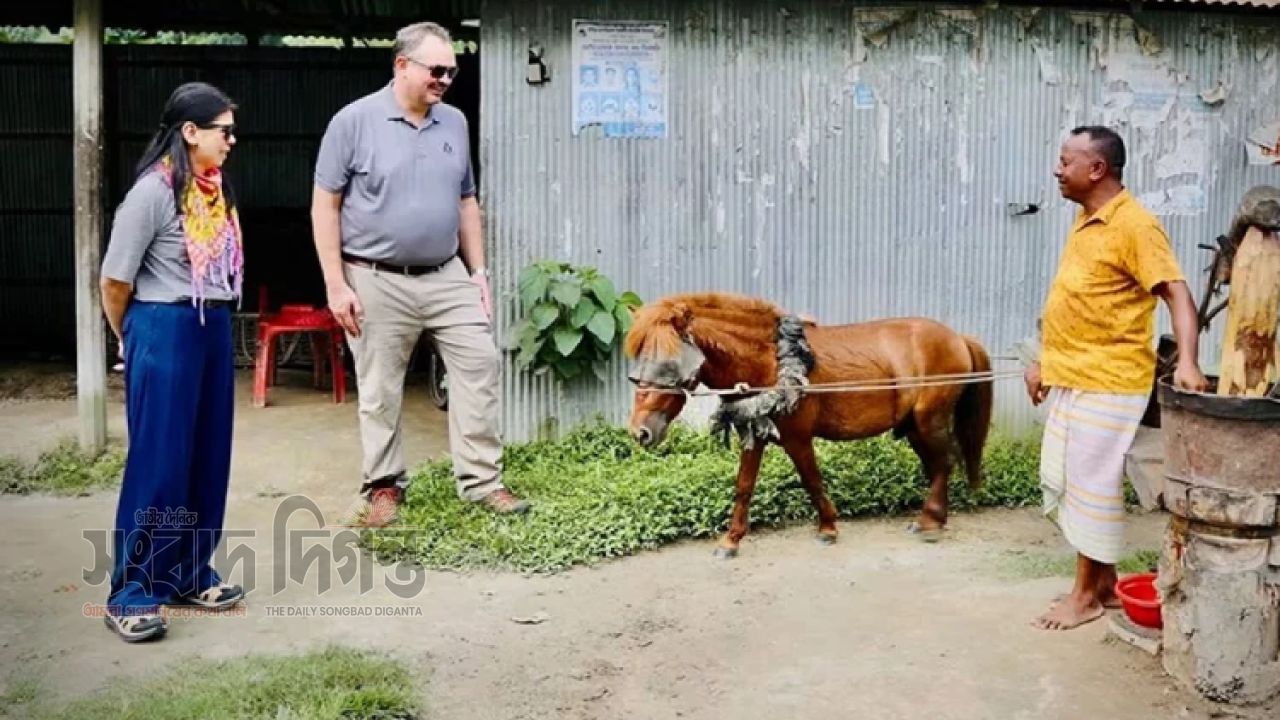 গঙ্গাচড়ায় ঐতিহ্যবাহী তেলের ঘানি ঘুরে দেখলেন মার্কিন রাষ্ট্রদূত