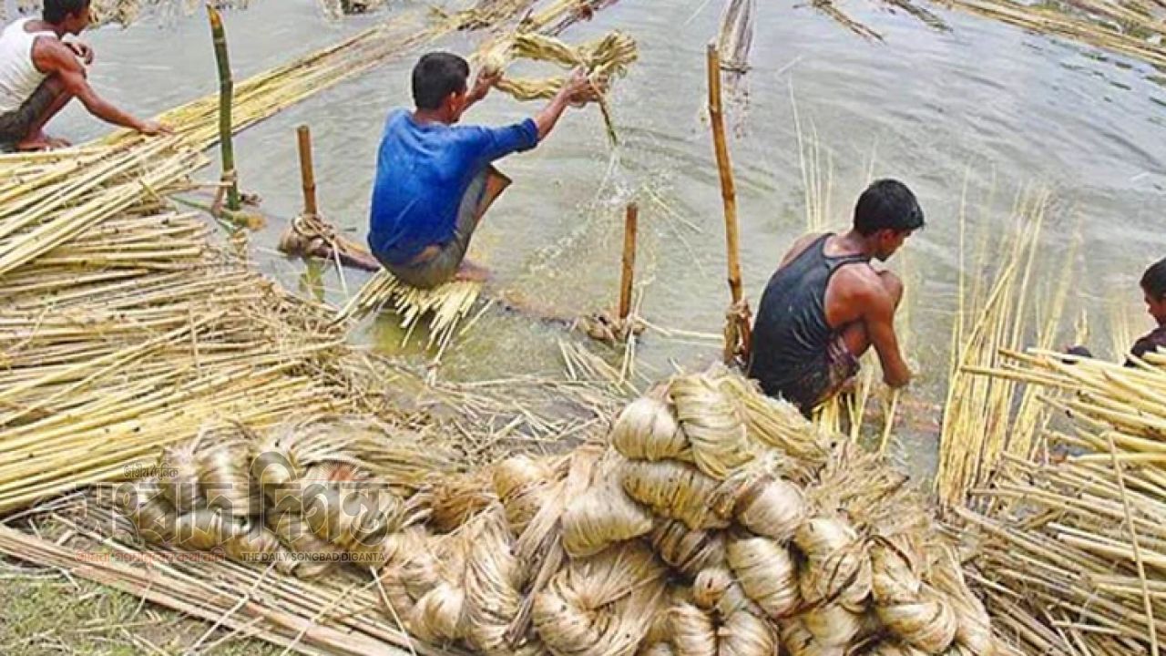 পাটশিল্প বাঁচাতে কাঁচা পাটে উৎসে কর প্রত্যাহারের দাবি