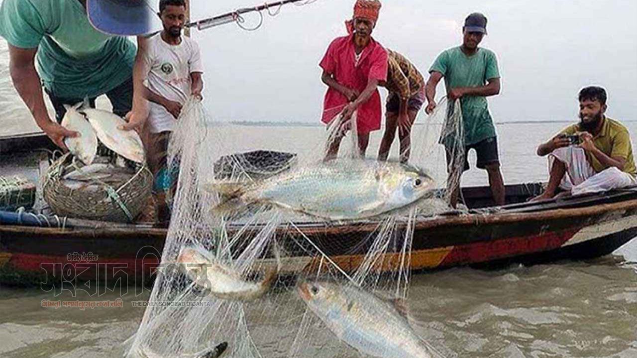 জীবন বাজি রেখে ইলিশ ধরেন, দাদন-ঋণের চাপে খেতে পারেন না জেলেরা 