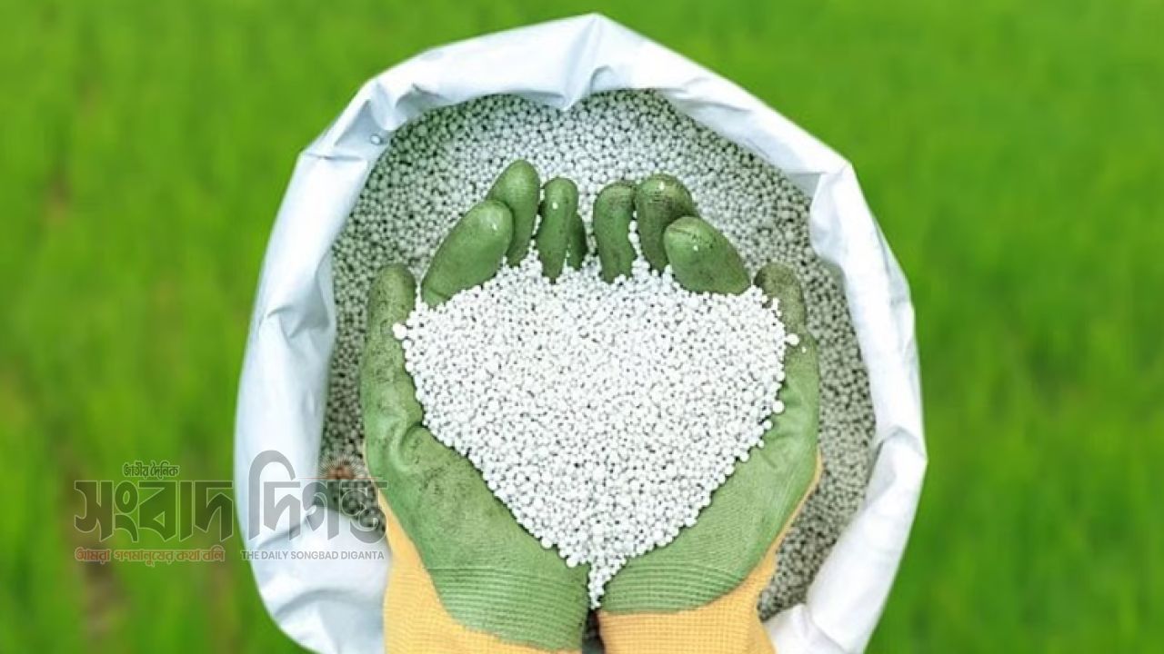 দেশে ইসবগুল চাষ সম্ভব, বাধা শুধু প্রক্রিয়াজাতকরণে