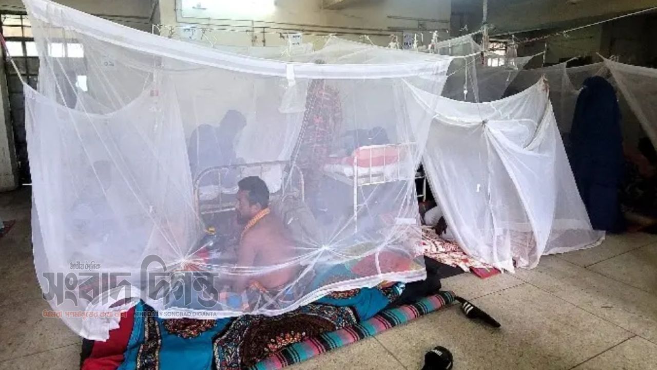 ময়মনসিংহে ডেঙ্গুতে আরও একজনের মৃত্যু, ২৪ ঘণ্টায় ভর্তি ৪৩