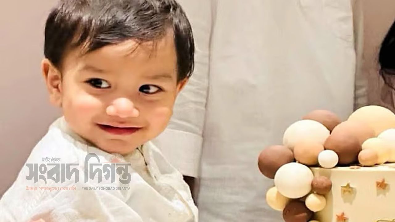 প্যারিসের বিস্ফোরণে প্রাণ গেল সাড়ে ৩ বছরের নাহিলের, তিন মাস আগেই এসেছিল গ্রামে
