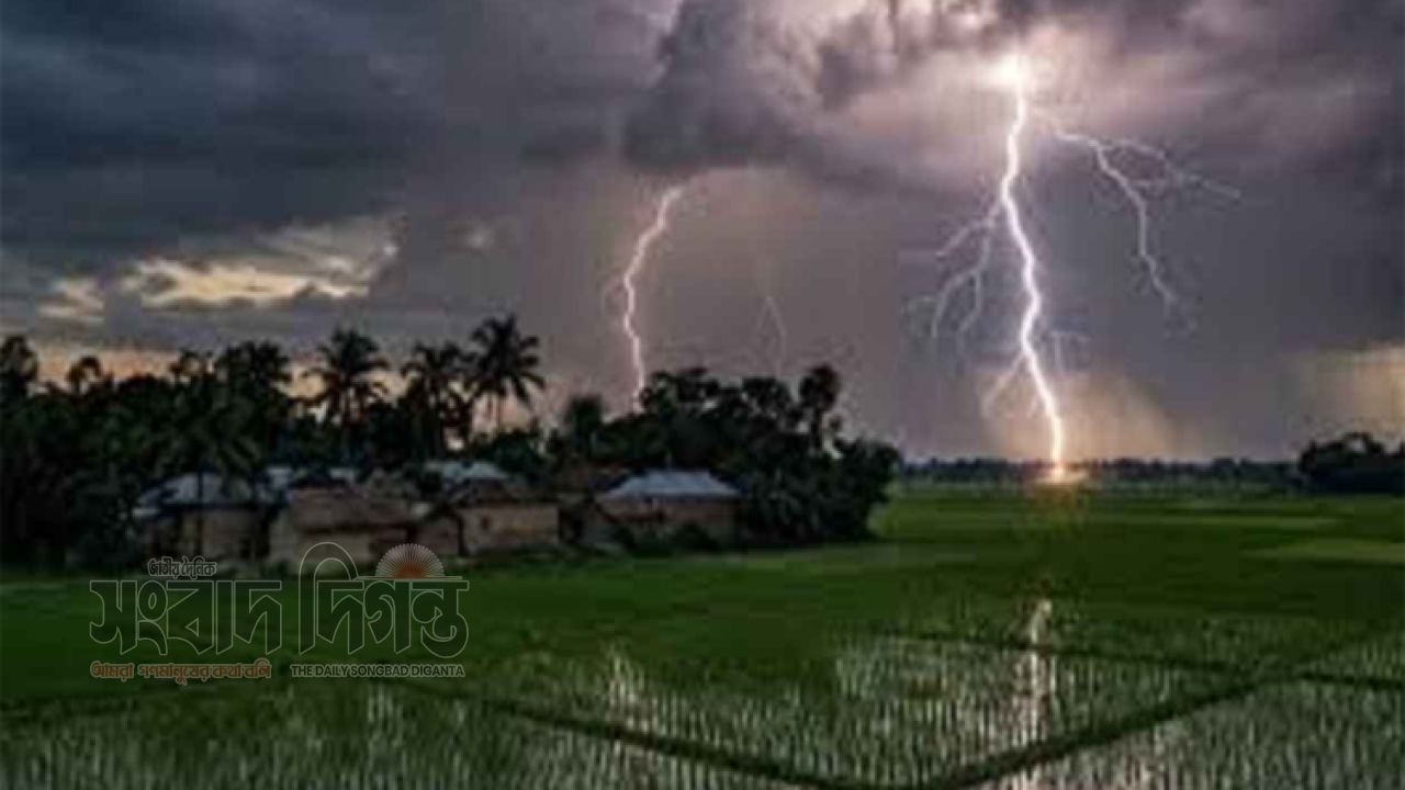 বৃষ্টিতে ভিজতে ছাদে উঠে বজ্রপাতে প্রাণ গেল তরুণের