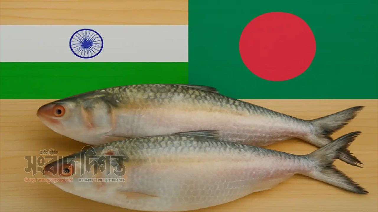 দুর্গাপূজার আগে ভারতে ইলিশ চায় আমদানিকারকরা, আবেদন ১৮ প্রতিষ্ঠানের