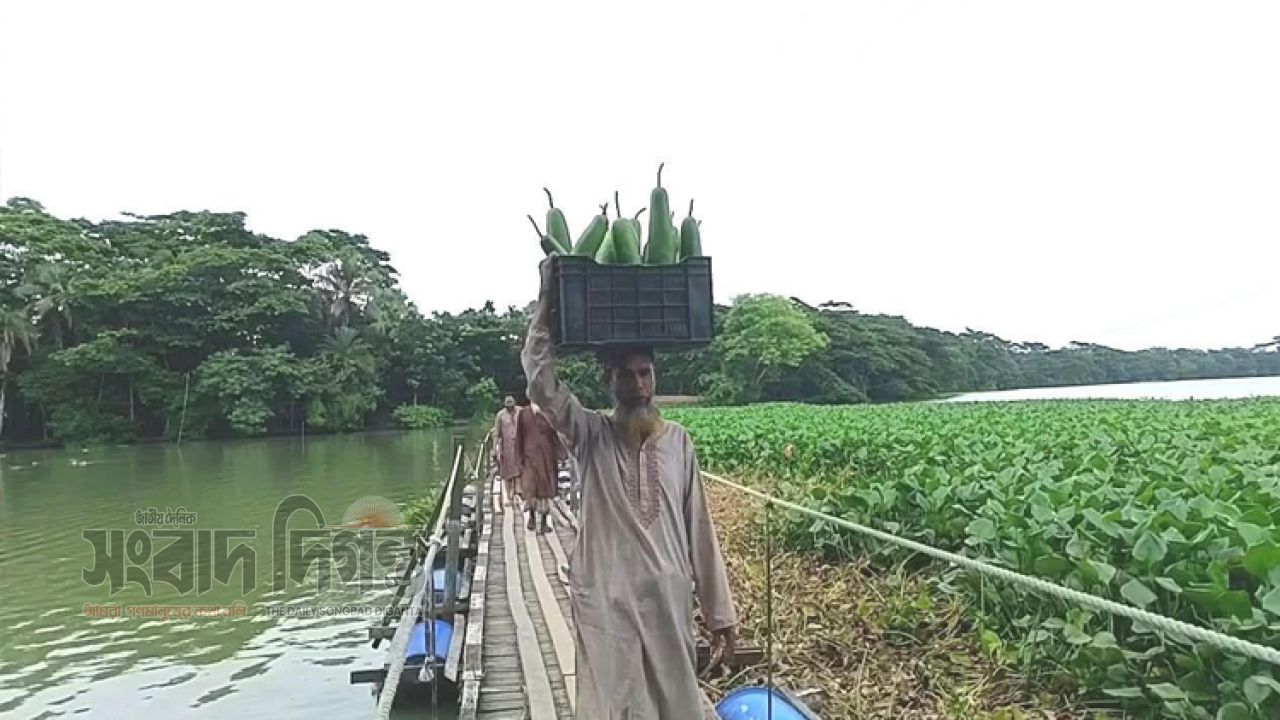 ৩০ বছরেও স্থায়ী সেতু হয়নি, ভাসমান ড্রাম সেতুই কৃষকের ভরসা 