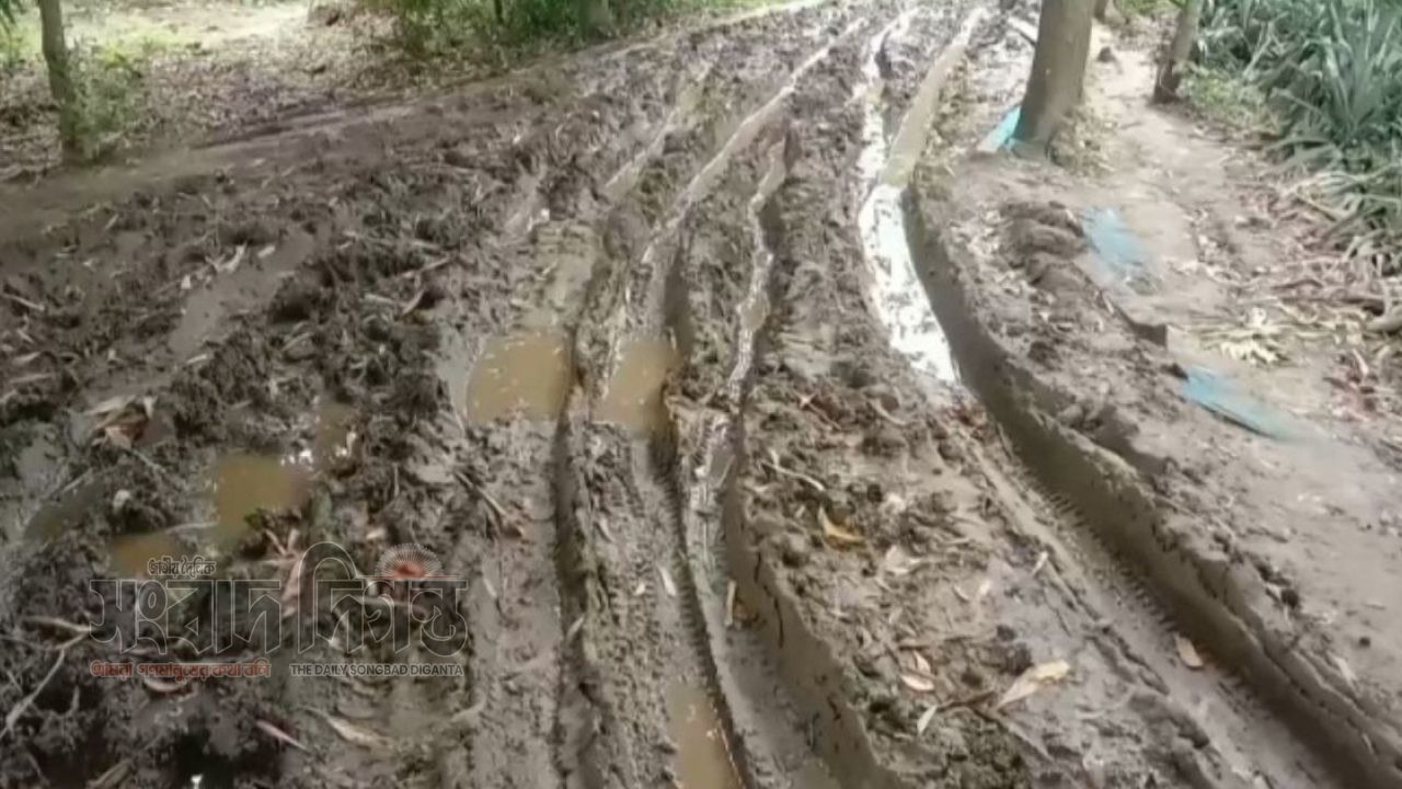 মধুপুরে সংস্কারহীন কাঁচা সড়কে ১২ গ্রামের মানুষ চরম দুর্ভোগে 