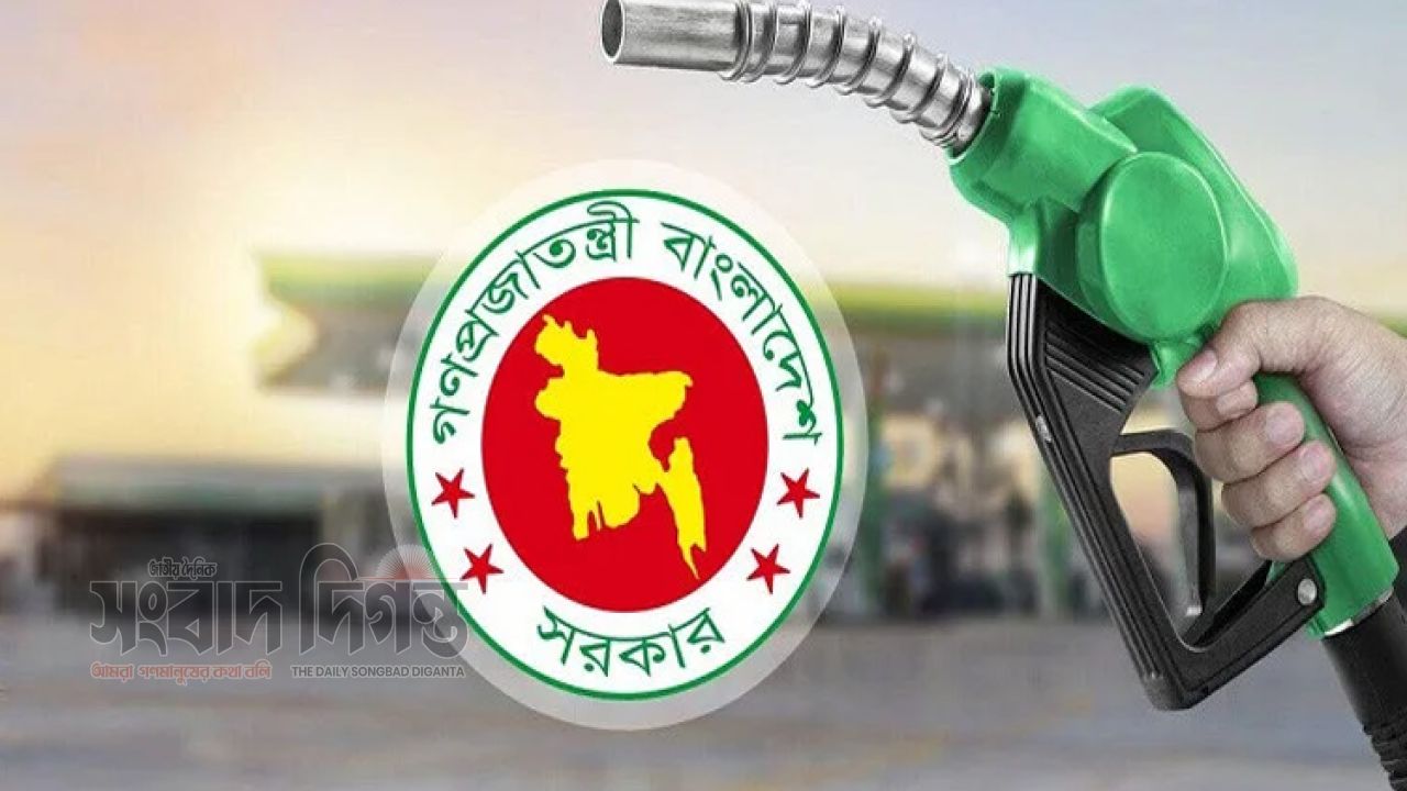 বছরের শেষ চার মাসে ৭ লাখ টন অতিরিক্ত জ্বালানি আমদানির অনুমোদন 