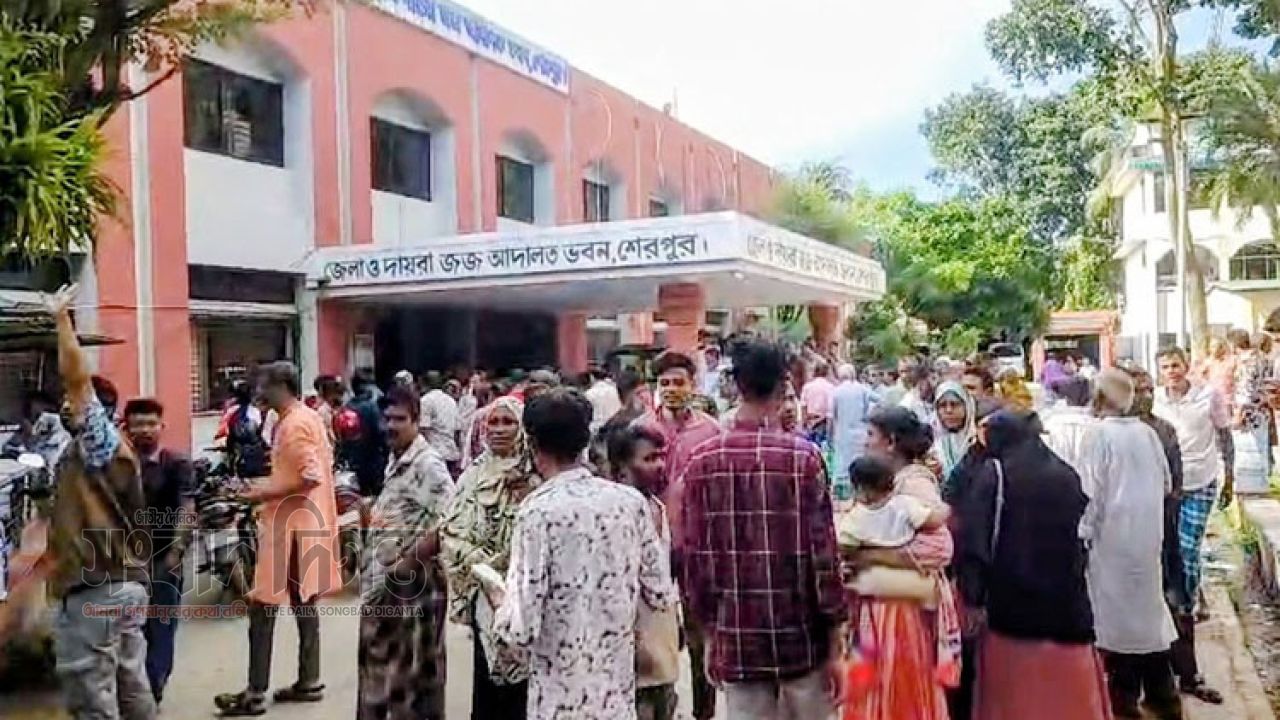 ১৪ কোটি টাকার সার কালোবাজারির অভিযোগ, ১৫ আসামি কারাগারে