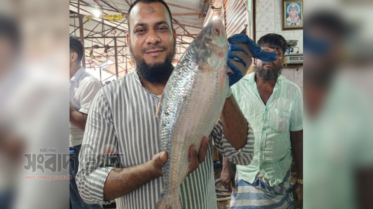 হাতিয়ায় ৩ কেজি ৭০০ গ্রাম রাজা ইলিশের দাম ১০ হাজার ৯০০ টাকা