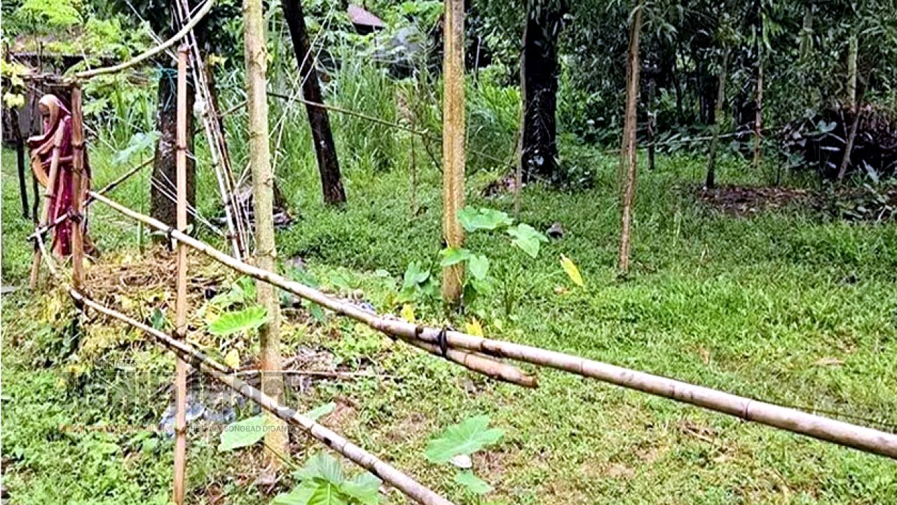 মির্জাপুরে যুবদল নেতার বিরুদ্ধে জমি দখলের চেষ্টার অভিযোগ