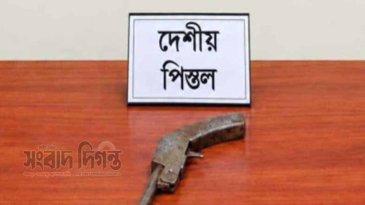 গঙ্গাচড়ায় দেশি পিস্তল উদ্ধার