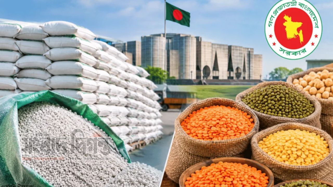 দেশে ১০ হাজার টন মসুর ডাল ও ১ লাখ ৫৫ হাজার টন সার কিনবে সরকার