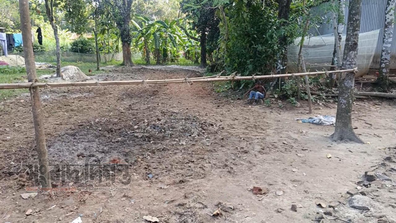 শ্রীপুরে জমি দখলের অভিযোগ, ঘরবাড়ি ভাঙচুর ও শতাধিক গাছ কাটার দাবি