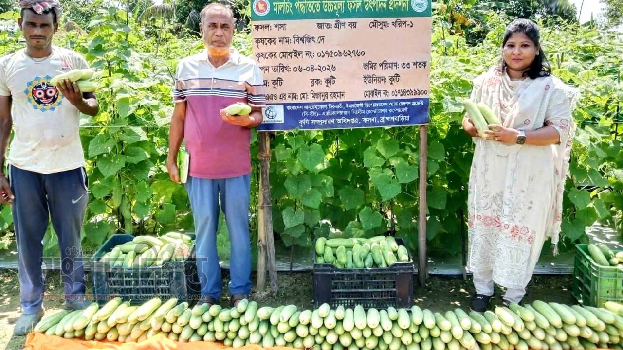কসবায় কৃষকদের আস্থা ও সফলতার প্রতীক হয়ে উঠছেন কৃষি অফিসার আয়েশা আক্তার