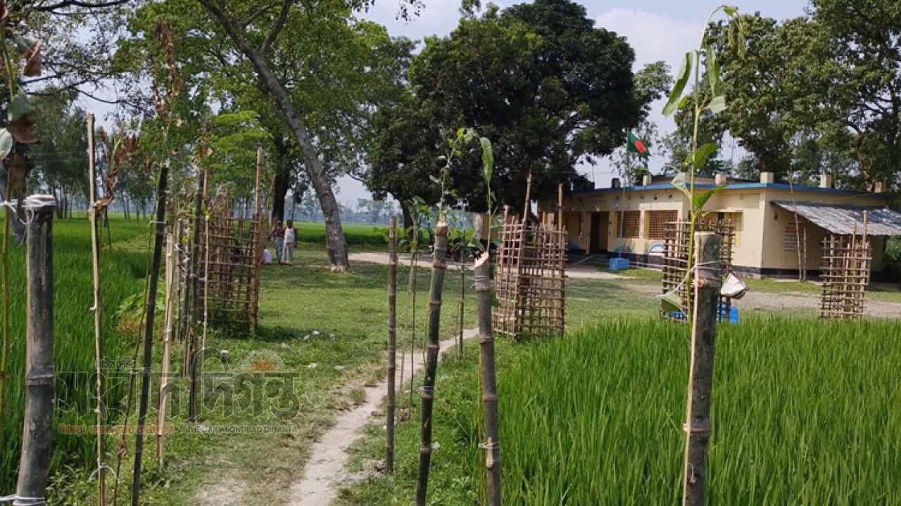 গংগাচড়ায় বিদ্যালয়ের যাতায়াতের রাস্তায় গাছ লাগিয়ে রাস্তা বন্ধ করার অভিযোগ 