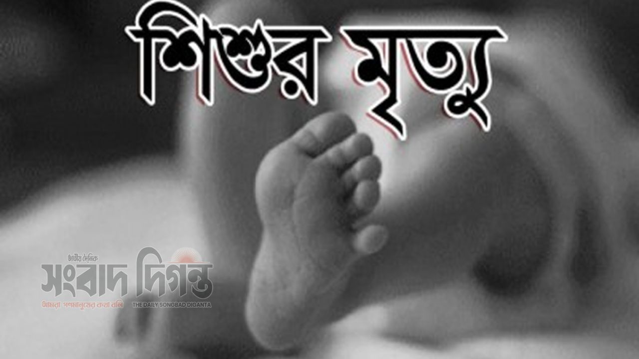 প্রাইভেটকারের ধাক্কা, প্রাণ গেল ৪ বছরের শিশুর 