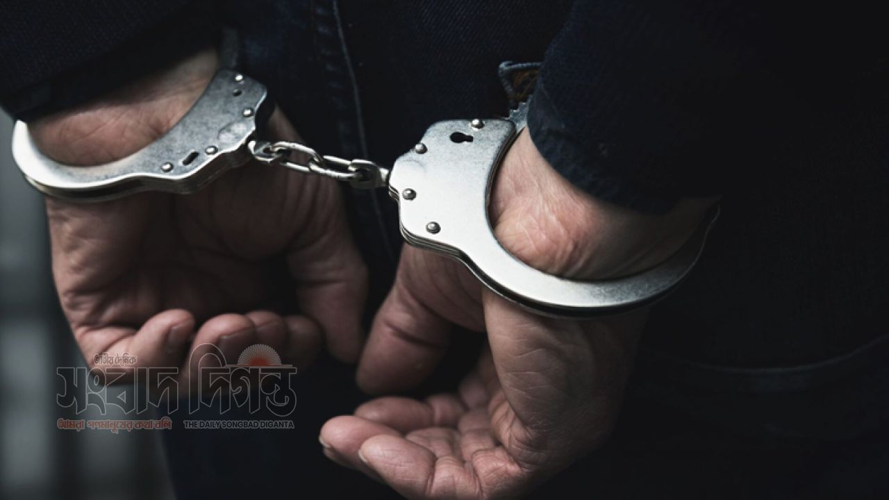 মানিকগঞ্জে পৃথক অভিযানে ইয়াবাসহ সাবেক ছাত্রদল নেতাসহ আটক ২ 