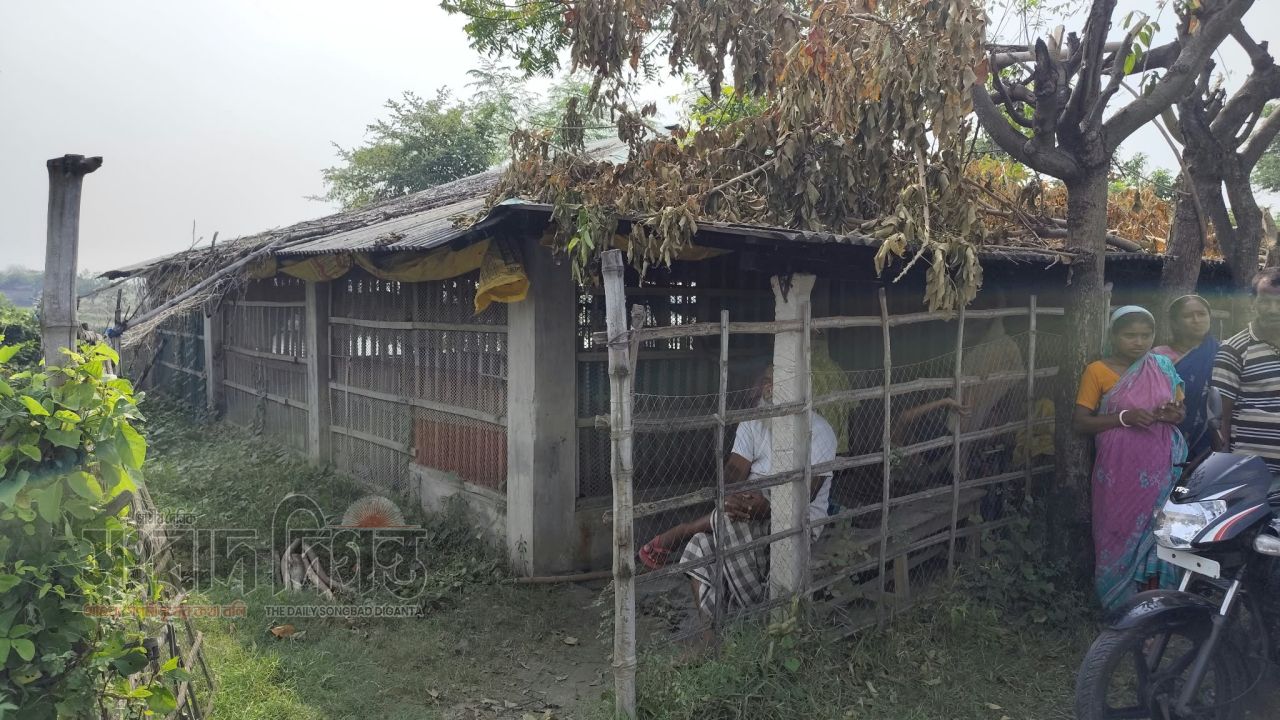 দেবহাটায় পোল্ট্রি খামারে সশস্ত্র হামলা-লুটের অভিযোগ