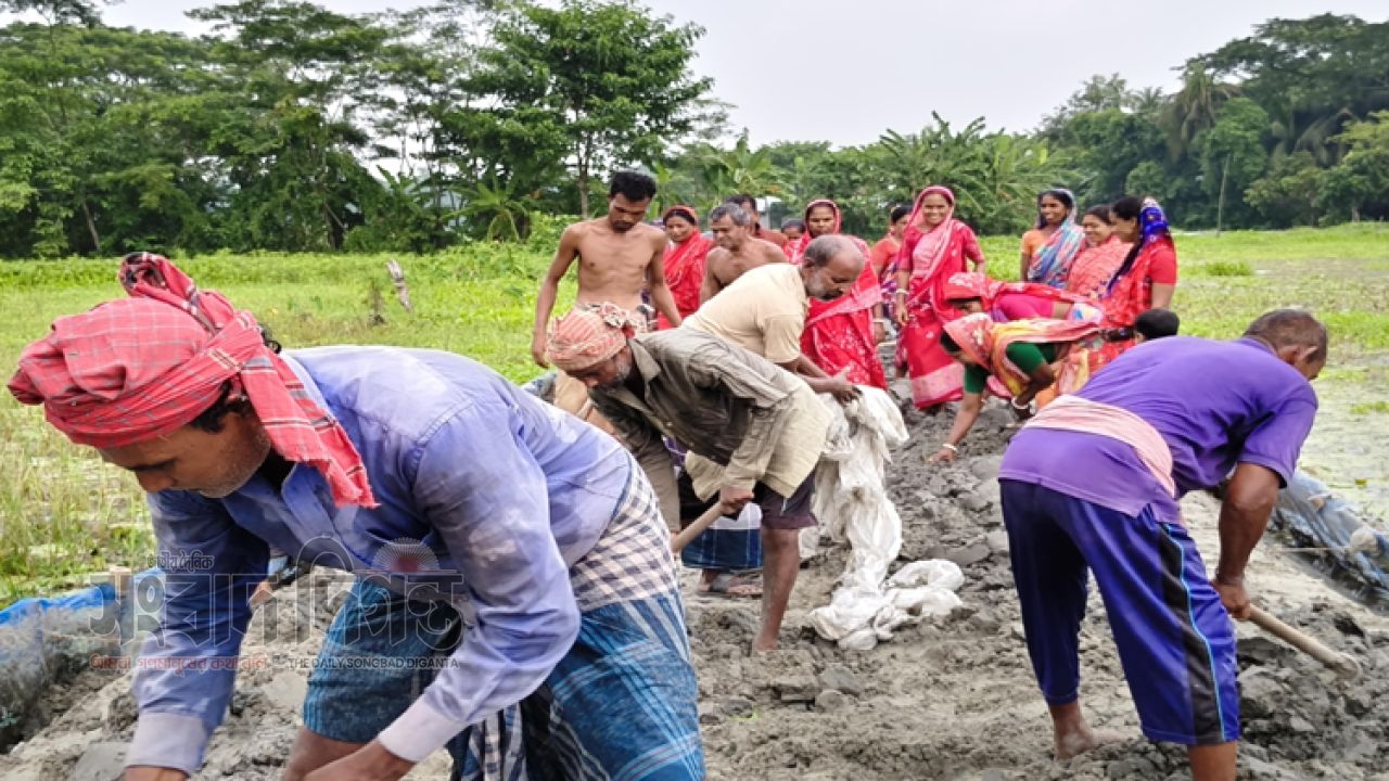 কোটালীপাড়ায় পূর্ব বিরোধের জেরে রাস্তা নির্মাণে বাধা দুর্ভোগে খাগবাড়ীর মানুষ,অভিযোগ সরকারি অর্থ ক্ষতির আশঙ্কা