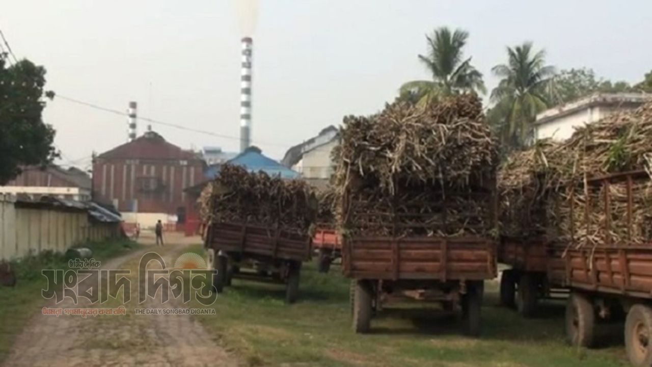 লোকসানি চিনি কলকে লাভজনক করতে বায়োপ্রোডাক্ট তৈরির উদ্যোগ