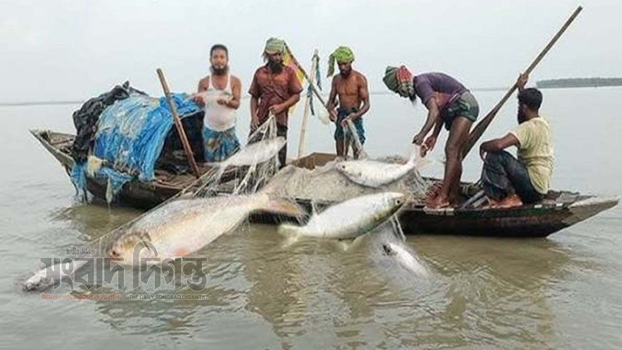 পদ্মা-মেঘনায় ২২ দিনের মাছ ধরার নিষেধাজ্ঞা আজ থেকে শুরু 