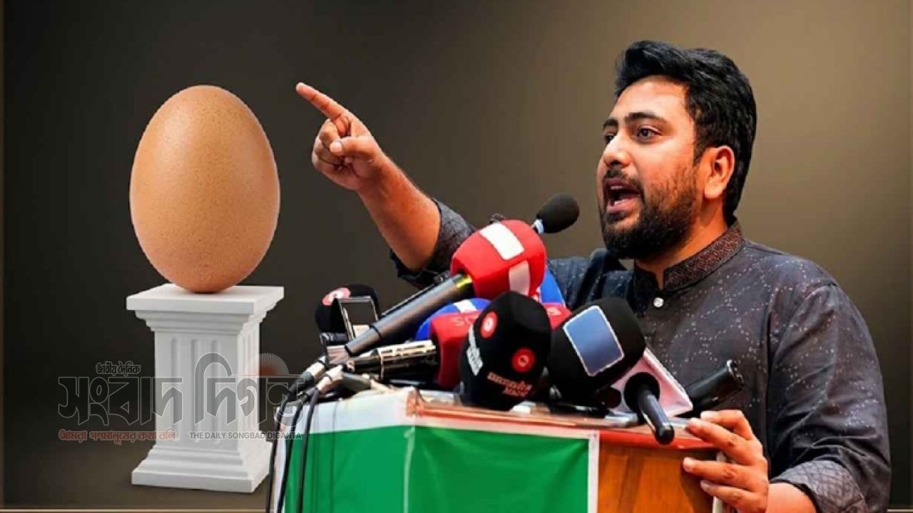 ডিমের দাম ১৫ টাকা হওয়া আতঙ্কের নাম: নাহিদ ইসলাম 