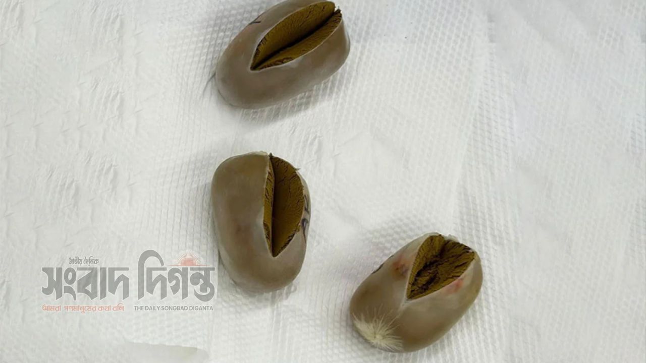 স্বর্ণ চোরাচালানের সন্দেহে যাত্রী তল্লাশি, ৩টি 'স্বর্ণের ডিম'  উদ্ধার 
