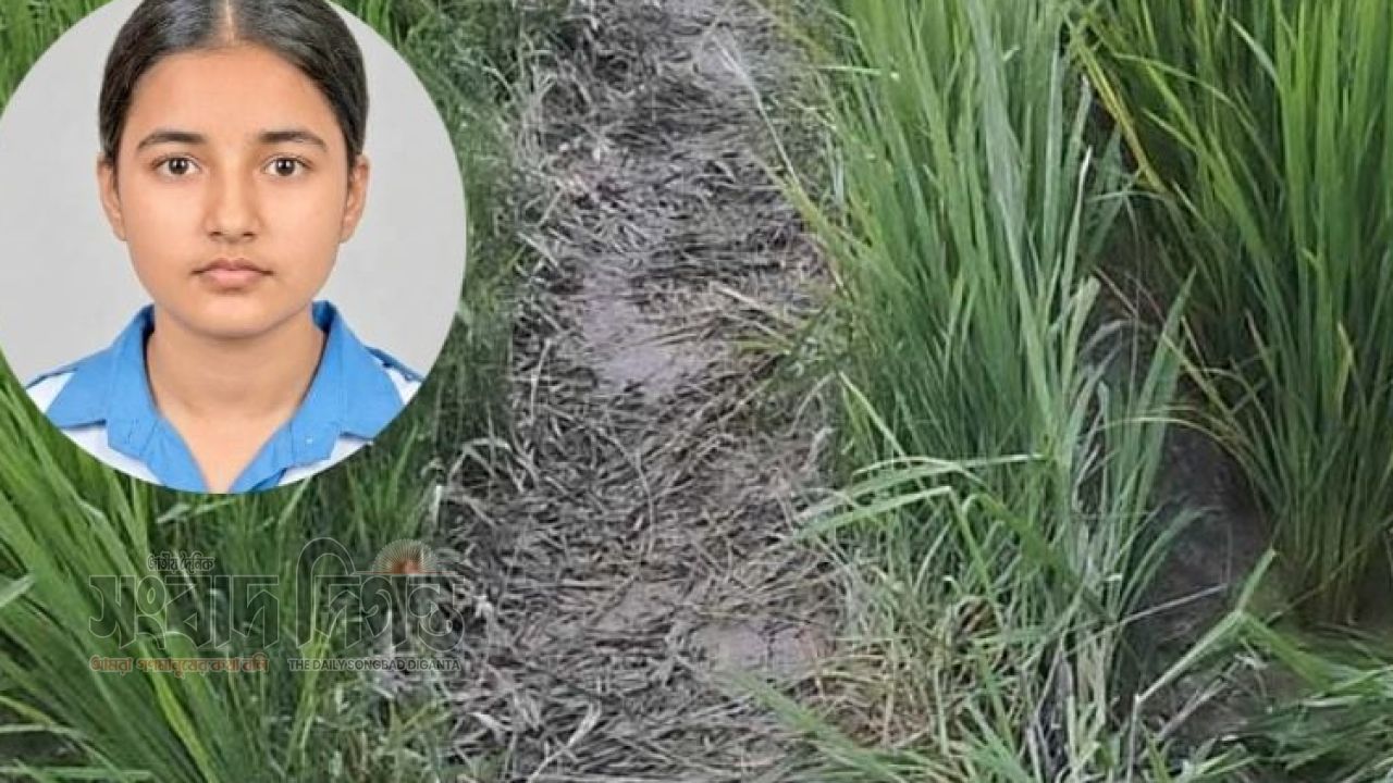 কুমিল্লায় নিখোঁজের চার দিন পর ধানখেতে স্কুলছাত্রীর লাশ উদ্ধার