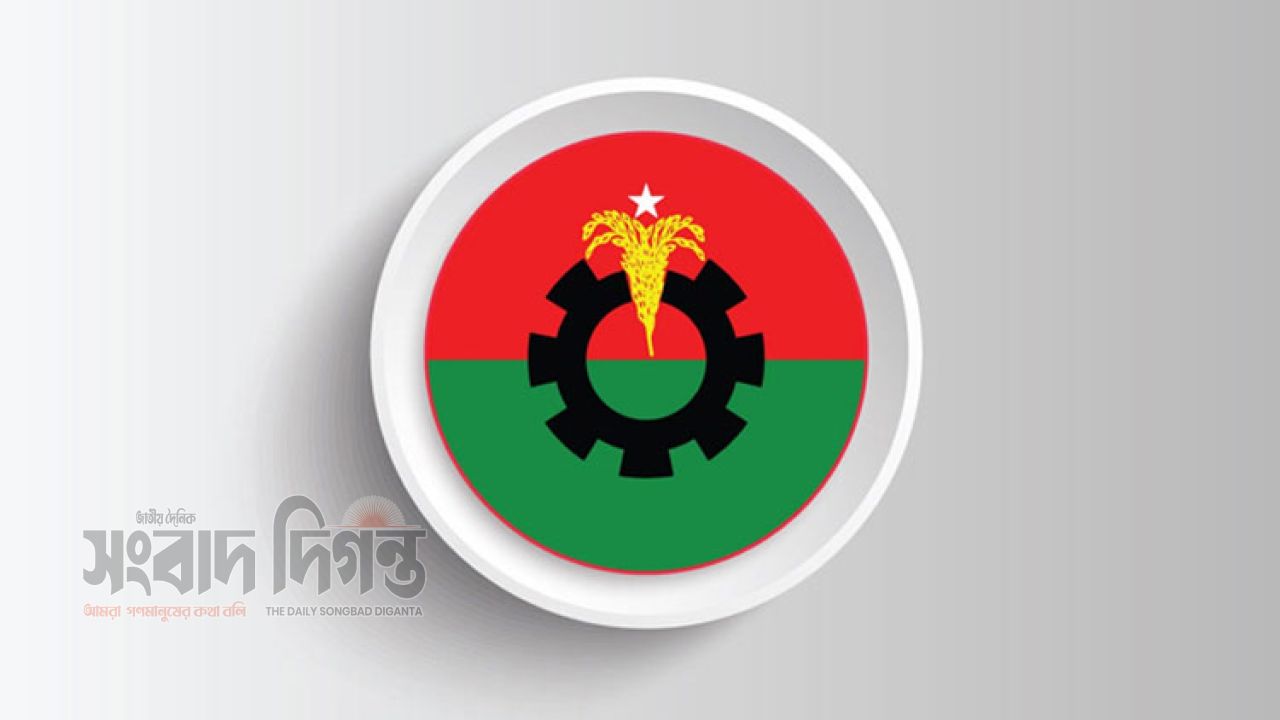 দুর্গাপূজার নিরাপত্তা ও পরিস্থিতি পর্যবেক্ষণে বিএনপির কমিটি 