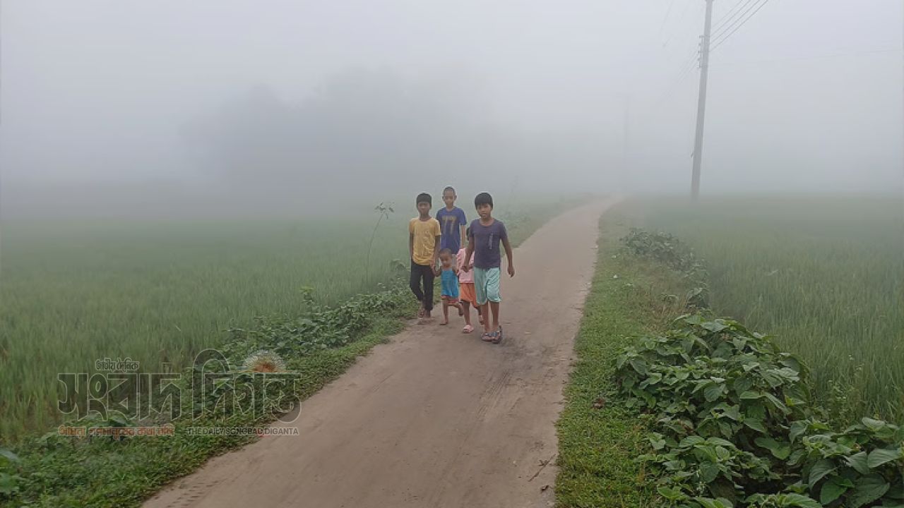 শরৎেই পঞ্চগড়ে শীতের আমেজ, তেঁতুলিয়ায় তাপমাত্রা ২০.৫ ডিগ্রি