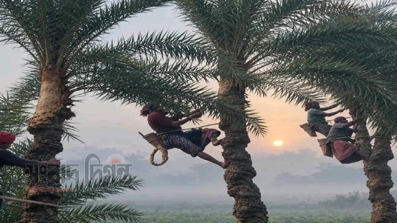 শীতের আগমনী বার্তা, প্রস্তুত হচ্ছে যশোরের ঐতিহ্যবাহী খেজুরের রস ও গুড়