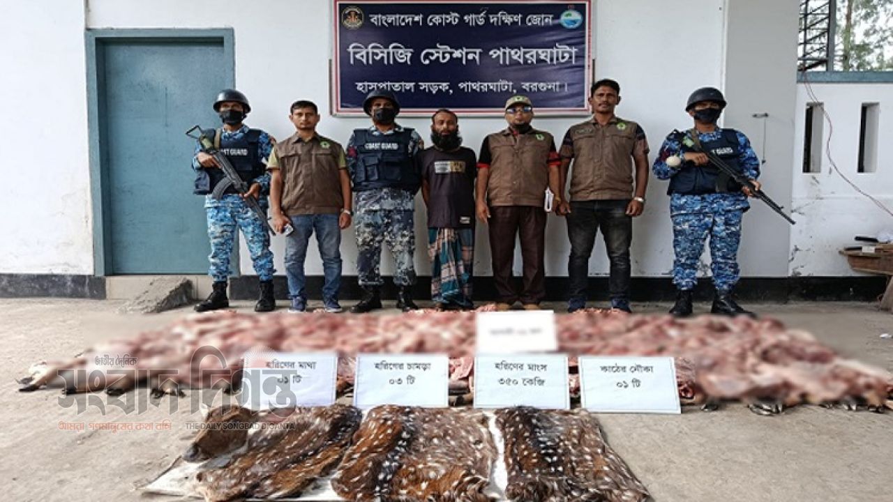 কোস্ট গার্ডের অভিযানে হরিণের মাংস, চামড়া ও মাথা উদ্ধার