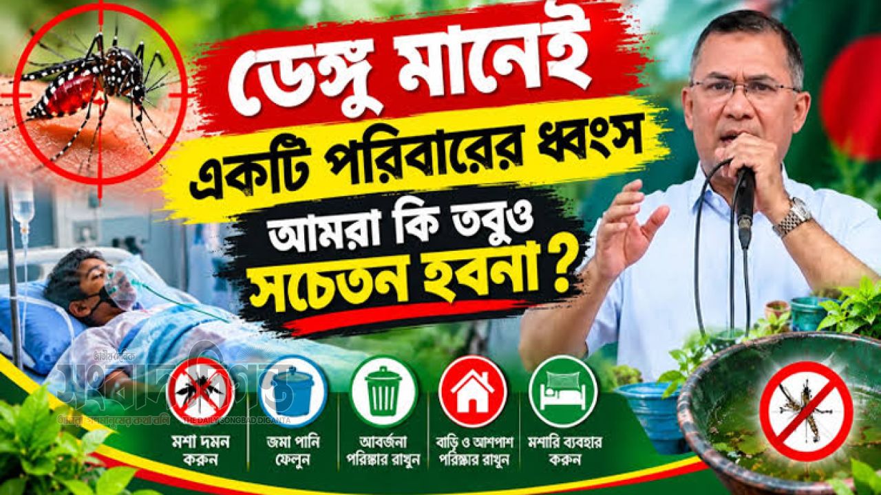 ডেঙ্গু ঠেকাতে সপ্তাহে দুই দিন পরিষ্কারে সময় দিন: প্রধানমন্ত্রী 