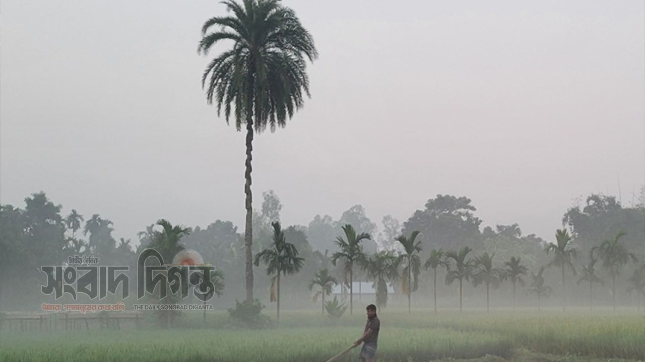 নভেম্বরের তৃতীয় সপ্তাহ থেকে ঢাকাসহ দেশে শীতের আমেজ 