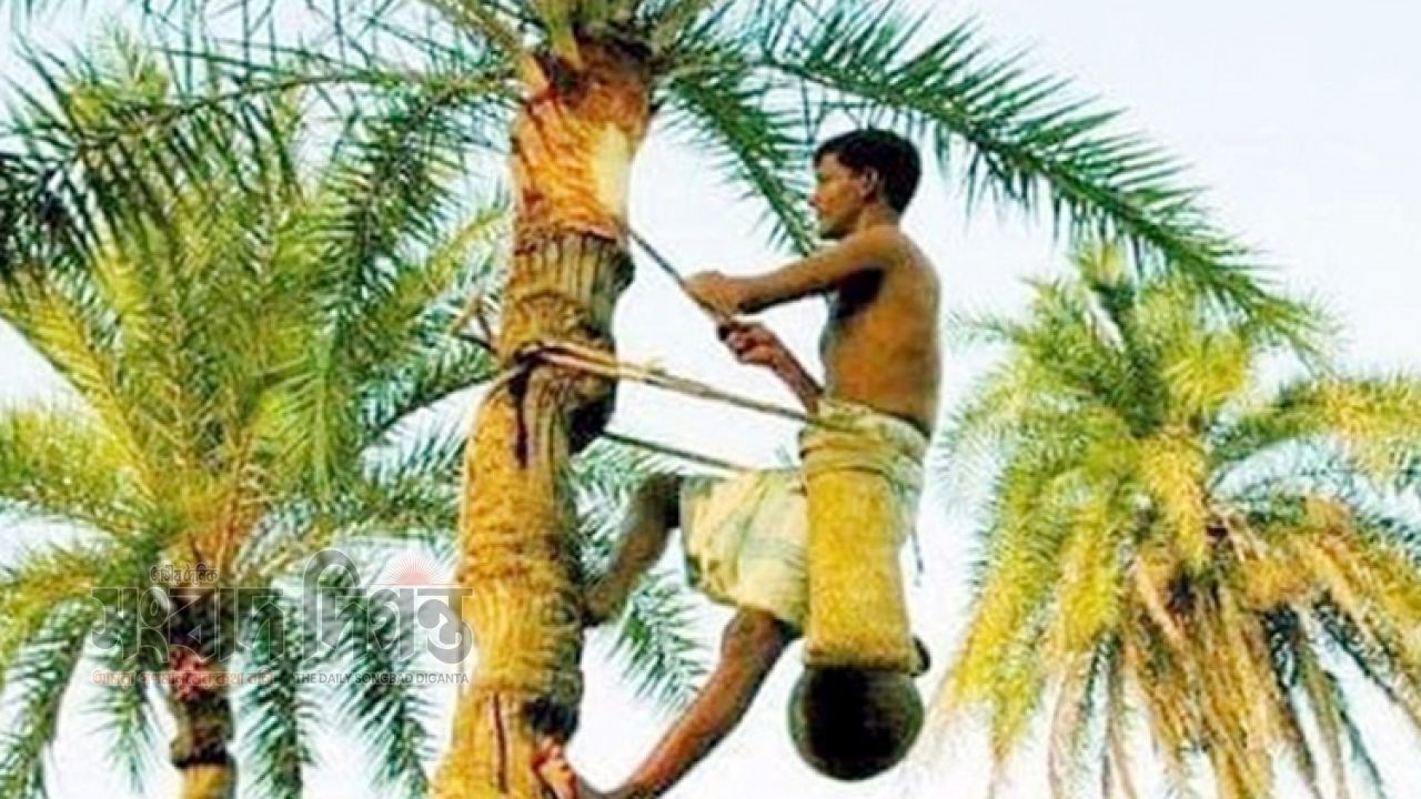  হেমন্তের শুরুতেই শীতের আভাস, কমতে পারে রাতের তাপমাত্রা