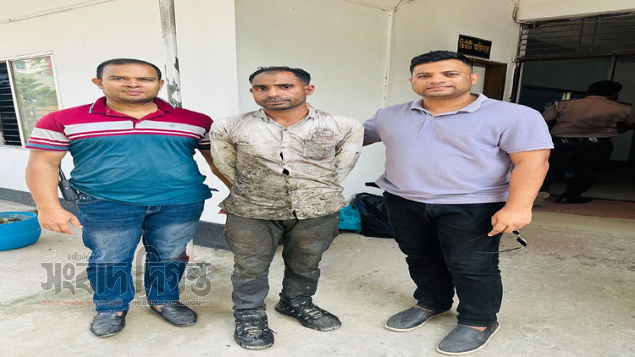 ১০ বছরে ২০ লাখ টাকা আত্মসাতের অভিযোগ, স্ত্রীকে হত্যার দায়ে আটক প্রবাসী স্বামী