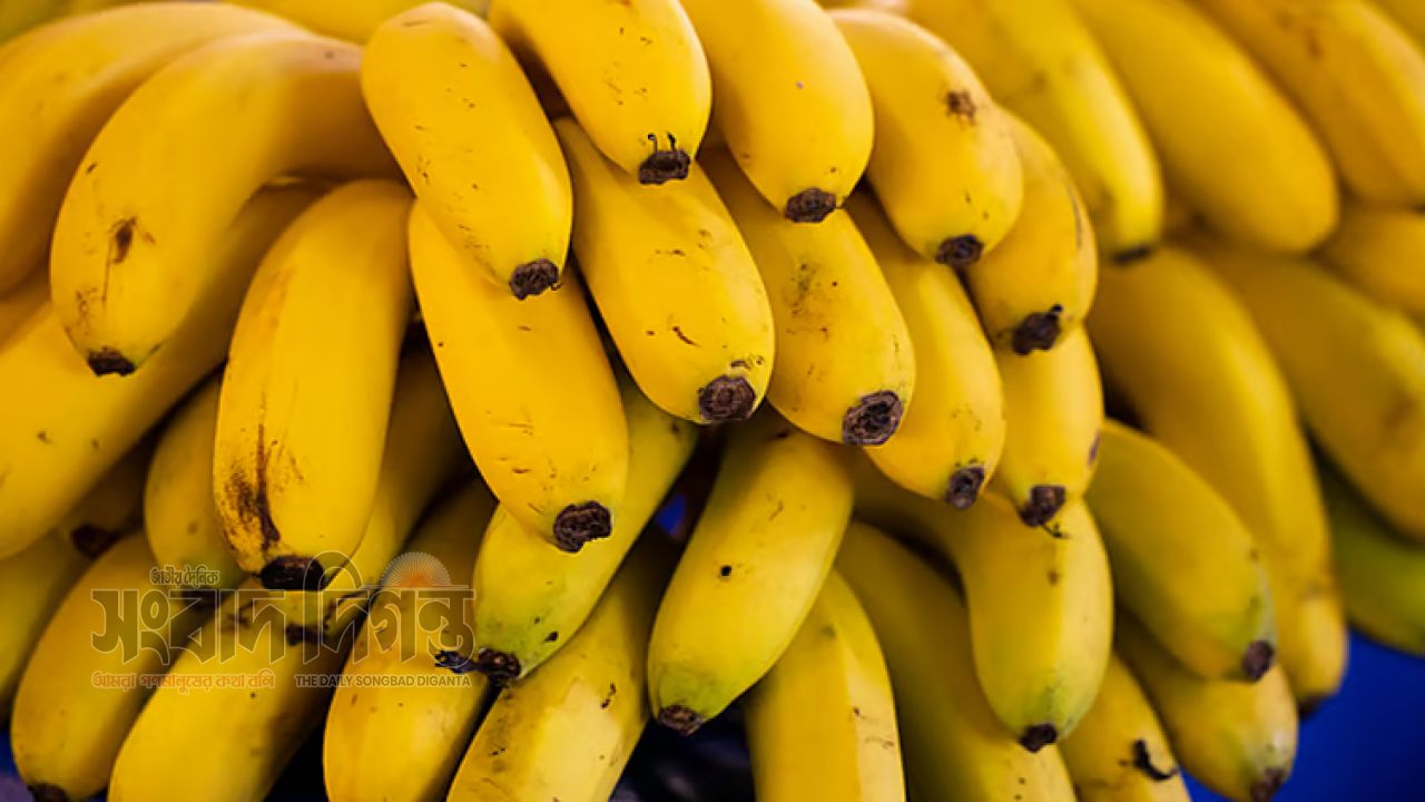 গবেষকদের প্রজননপ্রযুক্তিতে নতুন আশা