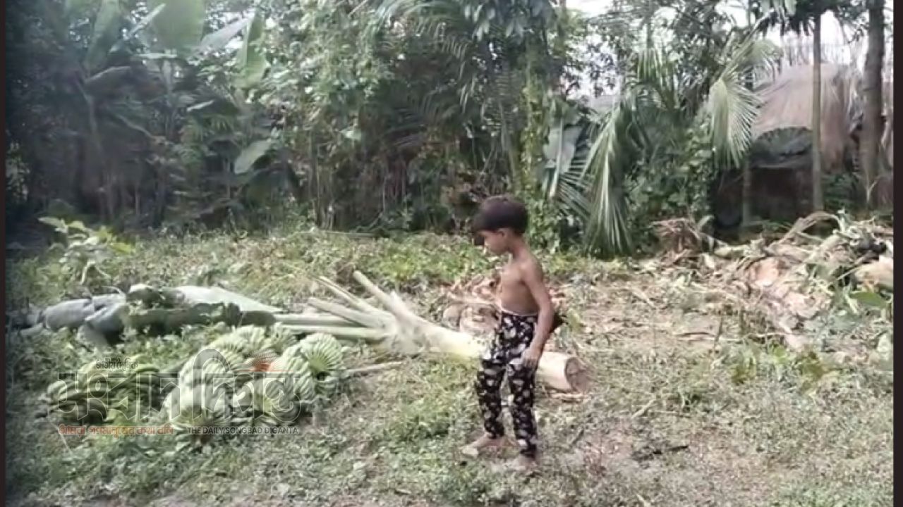 মহেশপুরের পাতিবিলা গ্রামের হোসেন আলীর বিরুদ্ধে অন্যের জমি
