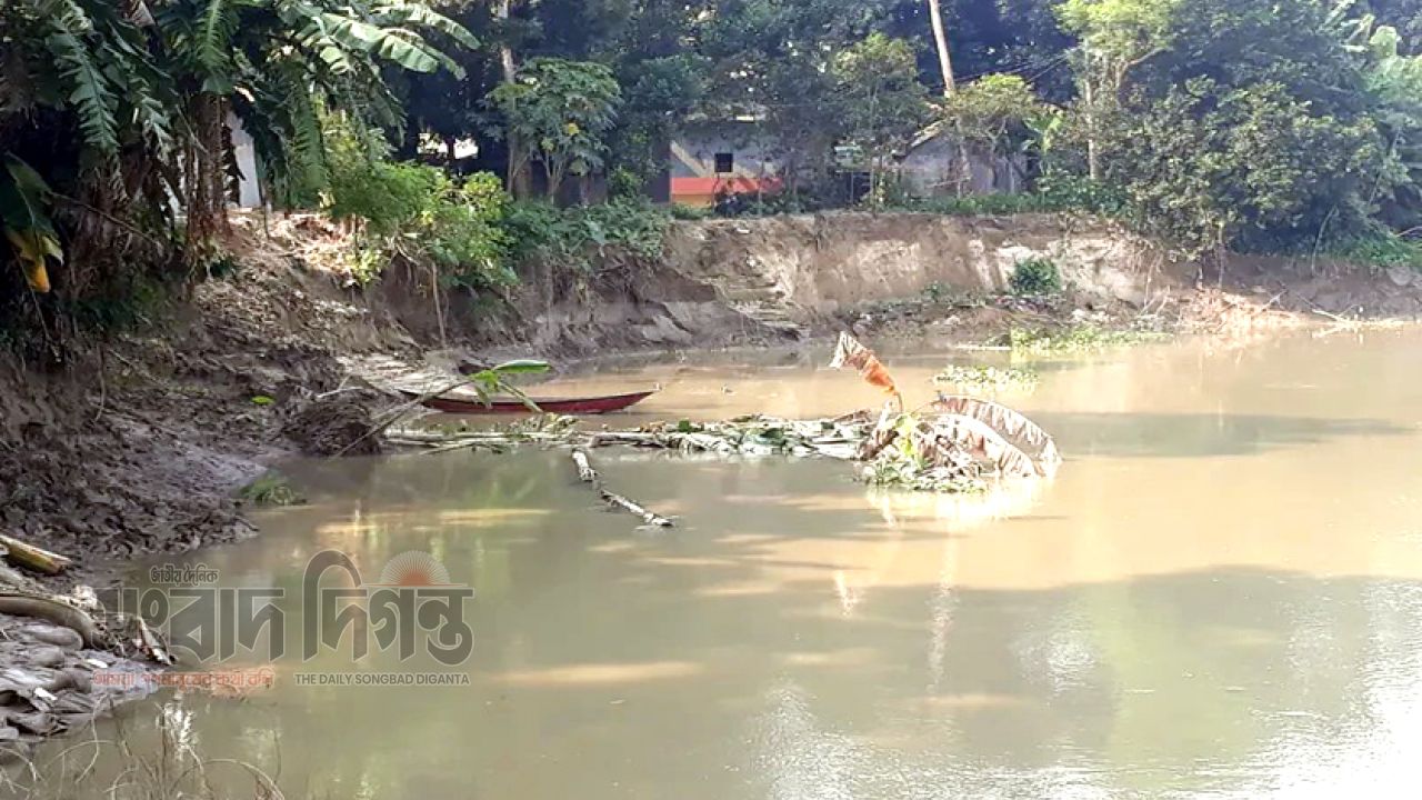 মির্জাপুরে বংশাই ও লৌহজং নদীতে ভাঙন চলছে: বিলীন হচ্ছে