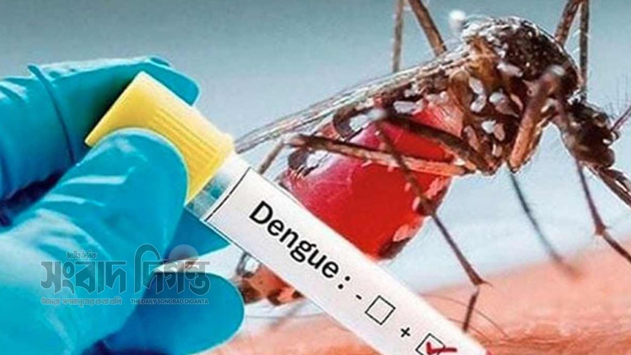 ডেঙ্গুতে আরও ৯ মৃত্যু, হাসপাতালে ভর্তি ১ হাজার ৯৮২ জন