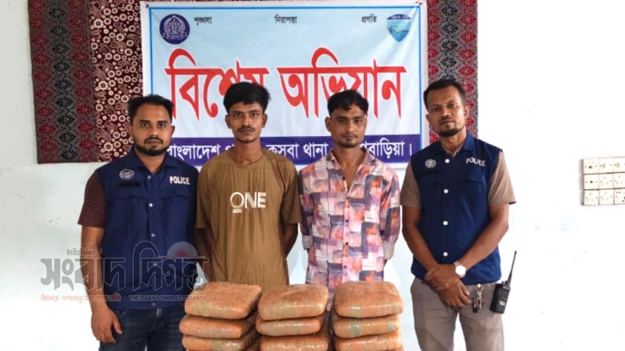 কসবায় ভারতীয় গাঁজাসহ দুই মাদক কারবারিকে গ্রেপ্তার,  পিকআপ  জব্দ